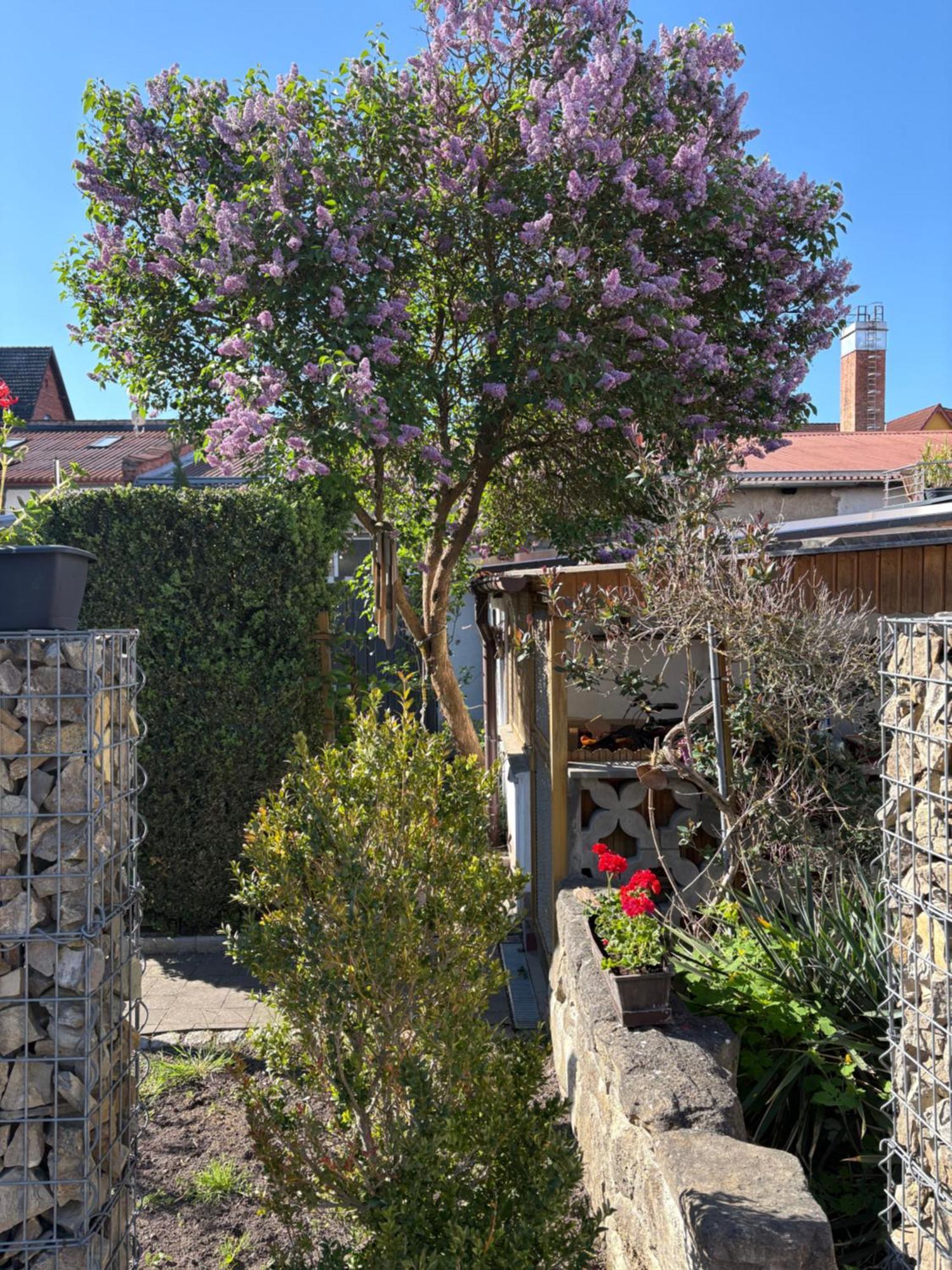 Haus Hannah Meiningen Exteriér fotografie