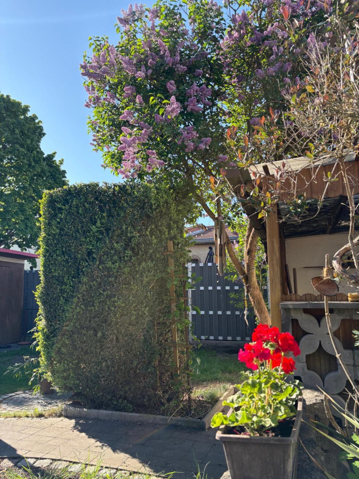 Haus Hannah Meiningen Exteriér fotografie